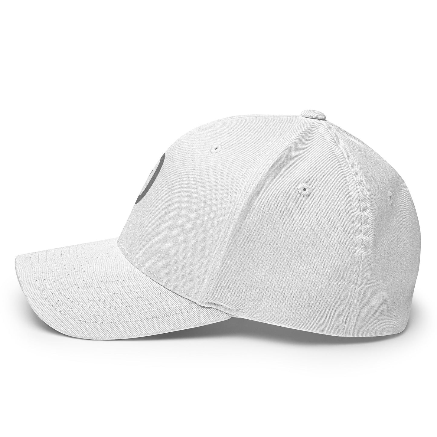 DOGE Hat | Gray Ð Dogecoin Hat | Minimalist Crypto Hat | Meme Merch