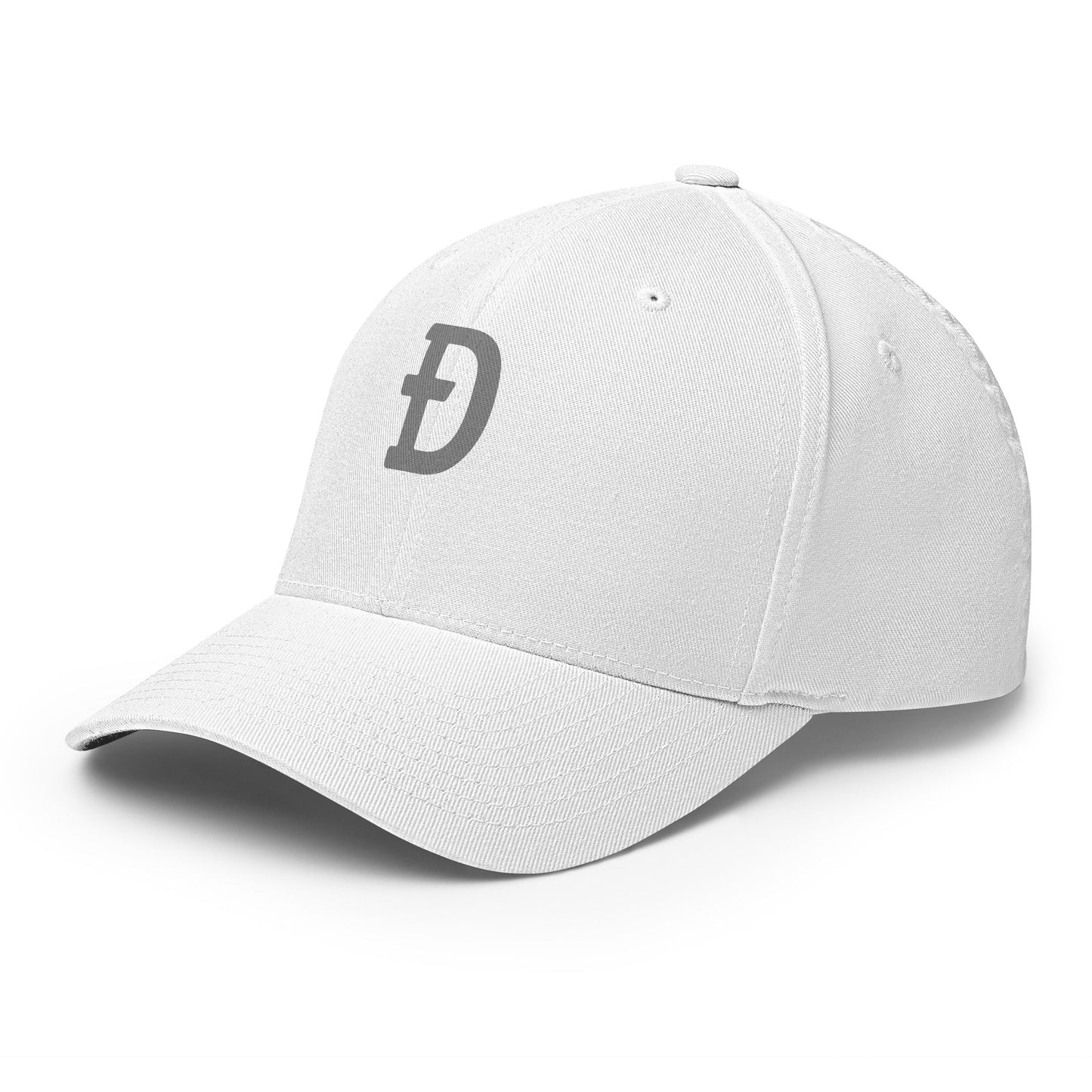 DOGE Hat | Gray Ð Dogecoin Hat | Minimalist Crypto Hat | Meme Merch