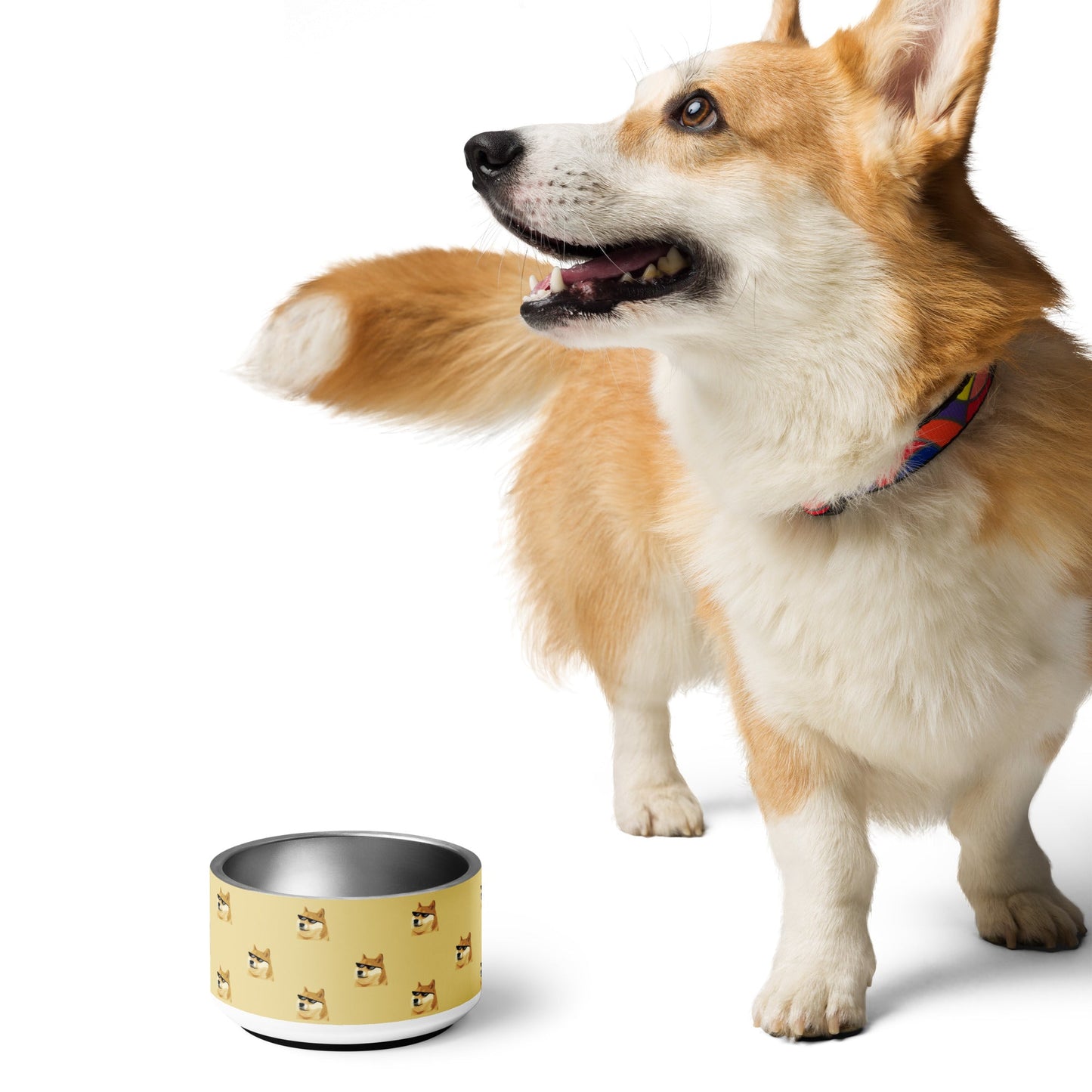 DOGE Dog Water Bowl - Premium Stainless Steel Pet Bowl | Department of Government Efficiency Fan Store, Dogecoin-Inspired