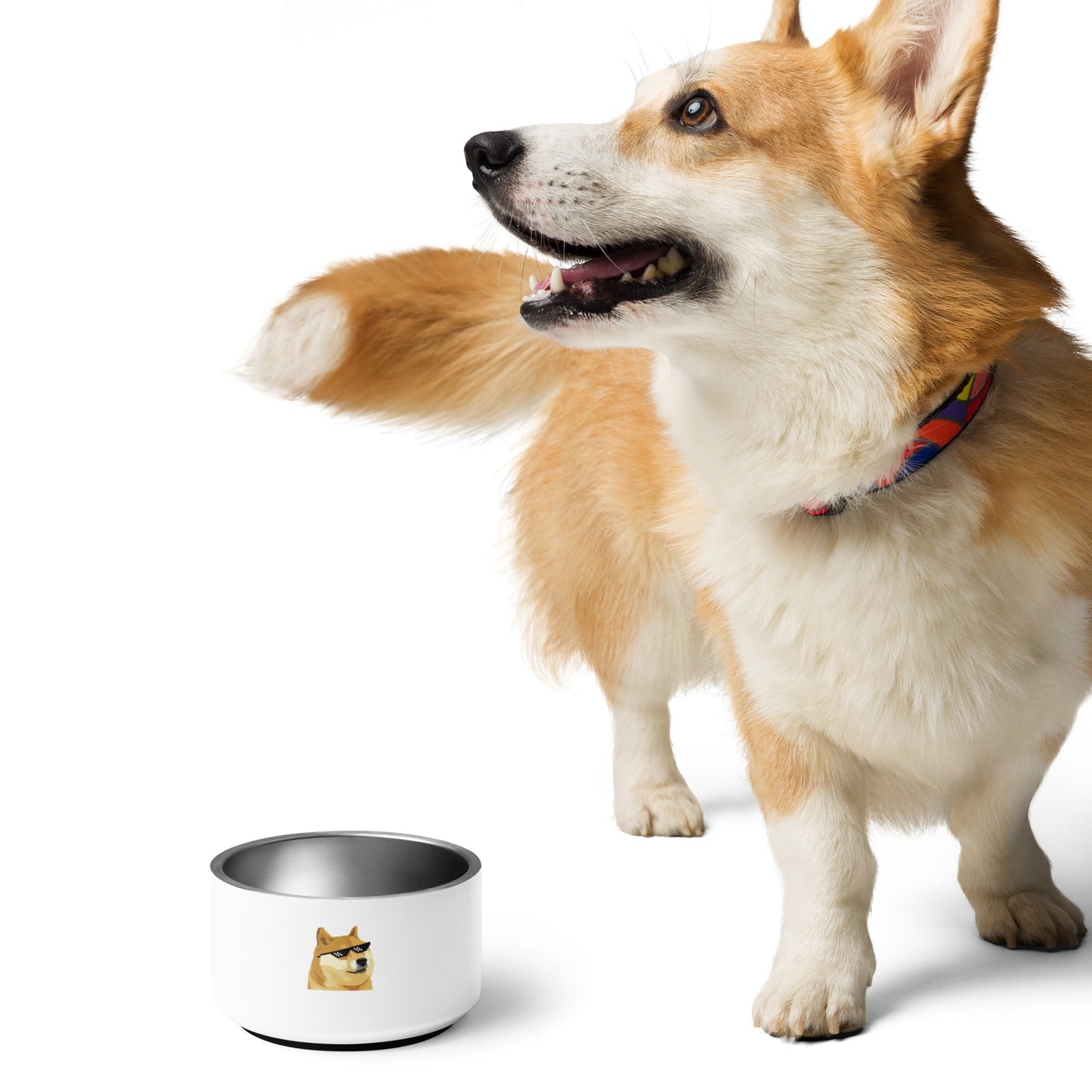 DOGE White Dog Bowl - Stylish Stainless Steel Pet Bowl | Department of Government Efficiency Fan Store, Dogecoin-Inspired