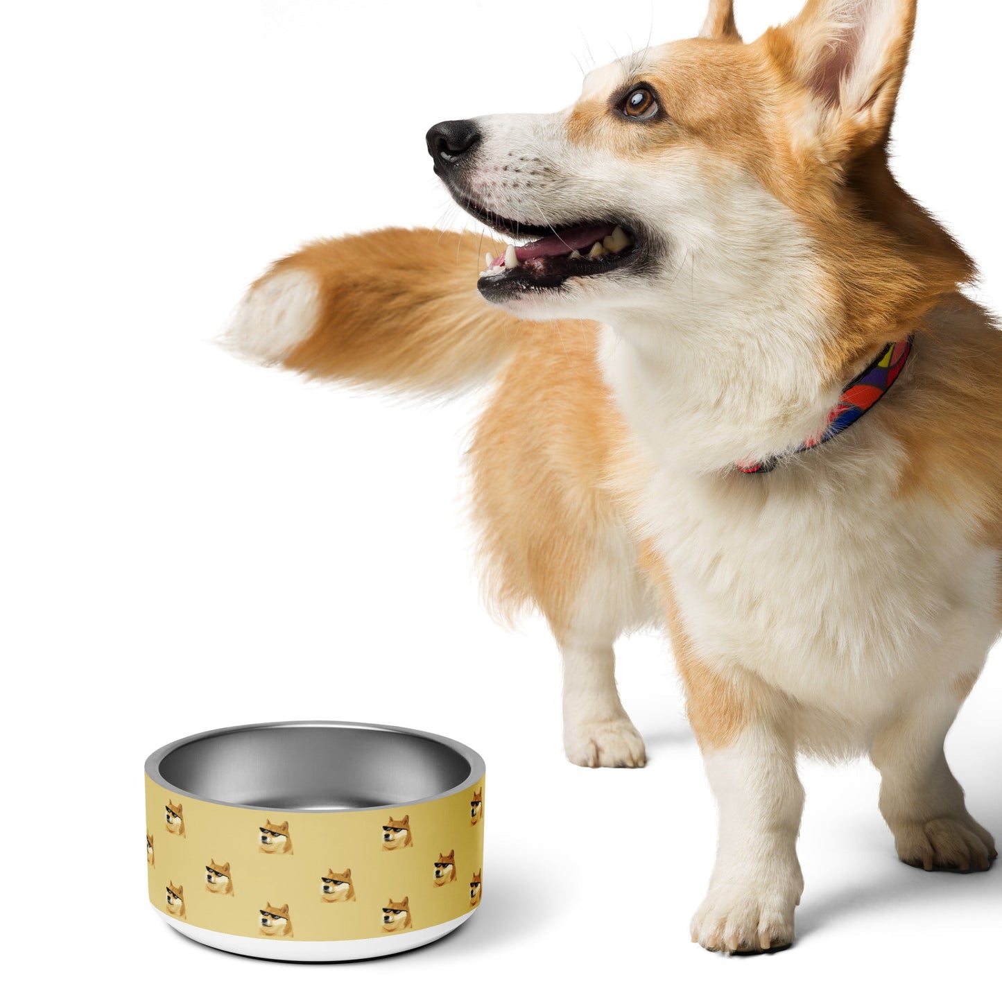 DOGE Dog Water Bowl - Premium Stainless Steel Pet Bowl | Department of Government Efficiency Fan Store, Dogecoin-Inspired