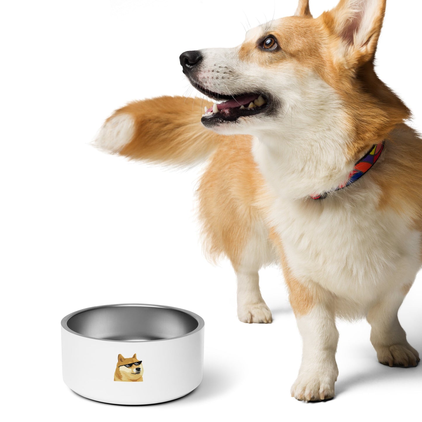 DOGE White Dog Bowl - Stylish Stainless Steel Pet Bowl | Department of Government Efficiency Fan Store, Dogecoin-Inspired