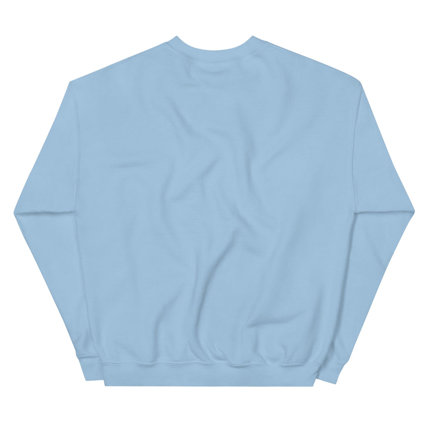Gray Ð Dogecoin Sweatshirt | DOGE Shirt | DOGE Merch