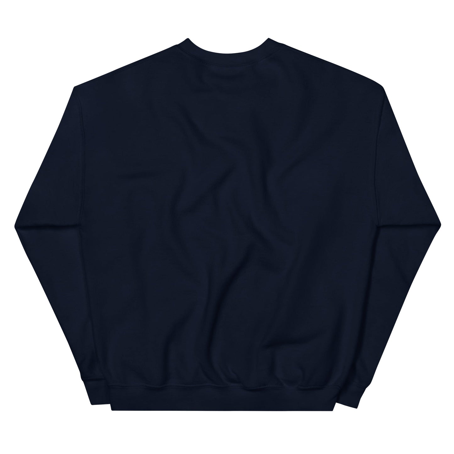 Gray Ð Dogecoin Sweatshirt | DOGE Shirt | DOGE Merch