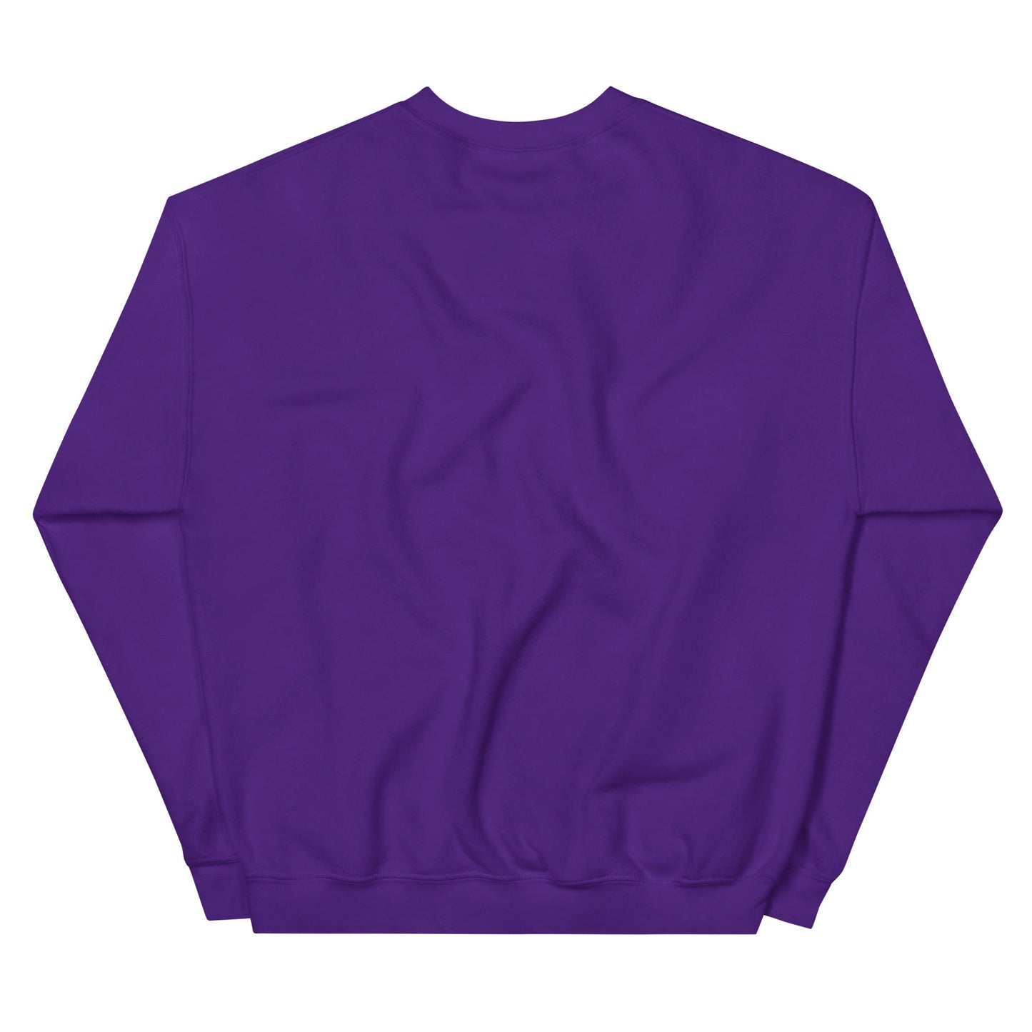 Gray Ð Dogecoin Sweatshirt | DOGE Shirt | DOGE Merch