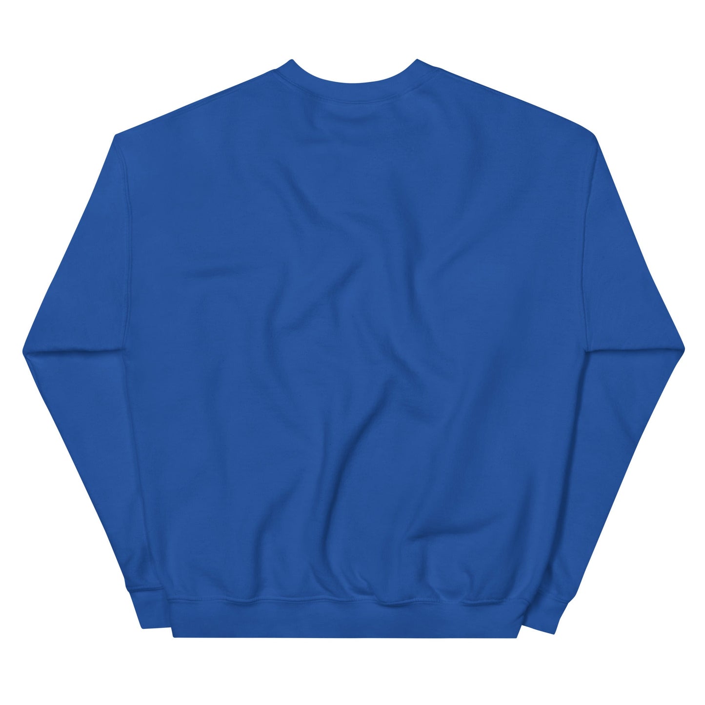 Gray Ð Dogecoin Sweatshirt | DOGE Shirt | DOGE Merch