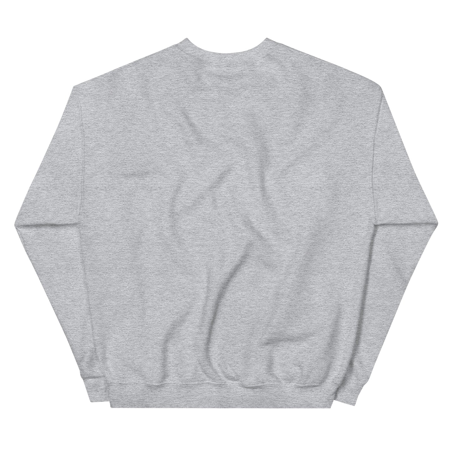 Gray Ð Dogecoin Sweatshirt | DOGE Shirt | DOGE Merch
