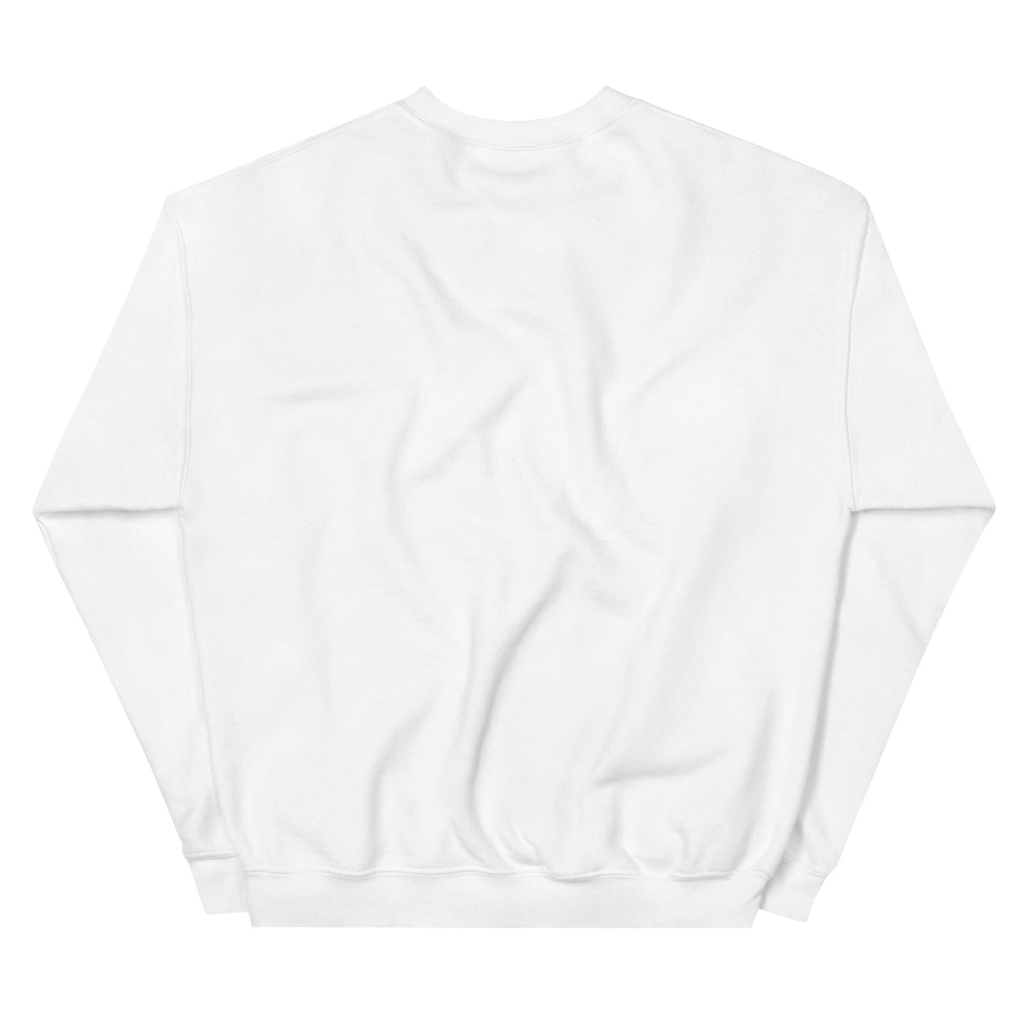 Gray Ð Dogecoin Sweatshirt | DOGE Shirt | DOGE Merch