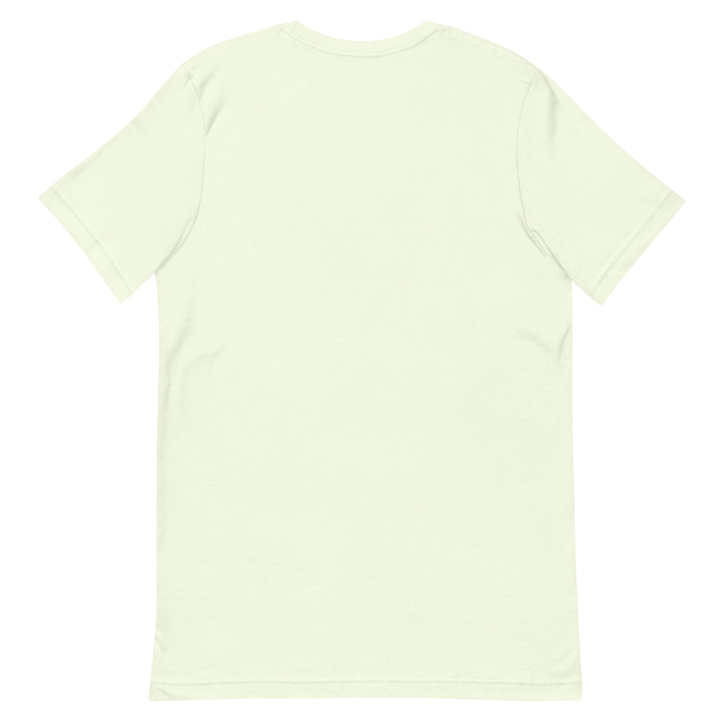 DOGE Shirt Dogecoin University T-shirt