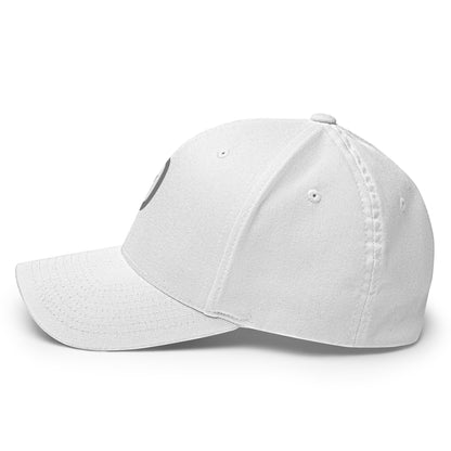 DOGE Hat | Gray Ð Dogecoin Hat | Minimalist Crypto Hat | Meme Merch