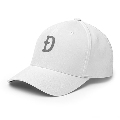 DOGE Hat | Gray Ð Dogecoin Hat | Minimalist Crypto Hat | Meme Merch