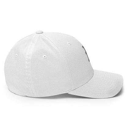 DOGE Hat | Gray Ð Dogecoin Hat | Minimalist Crypto Hat | Meme Merch