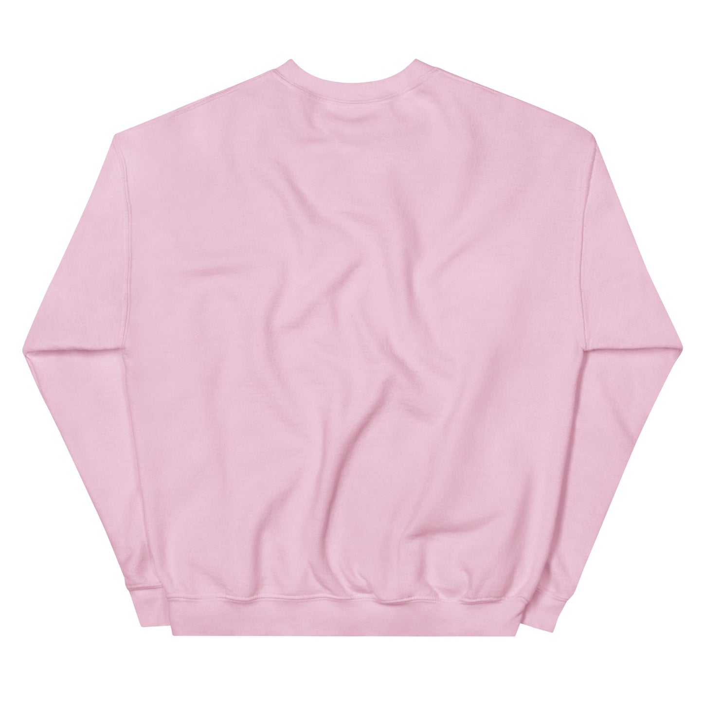 Gray Ð Dogecoin Sweatshirt | DOGE Shirt | DOGE Merch