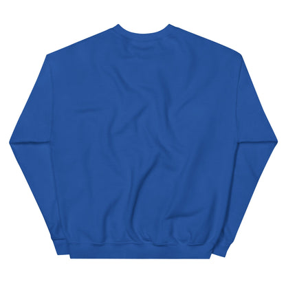 Gray Ð Dogecoin Sweatshirt | DOGE Shirt | DOGE Merch